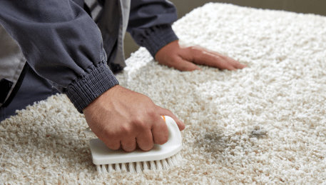 Professional Rug Cleaning Plenty