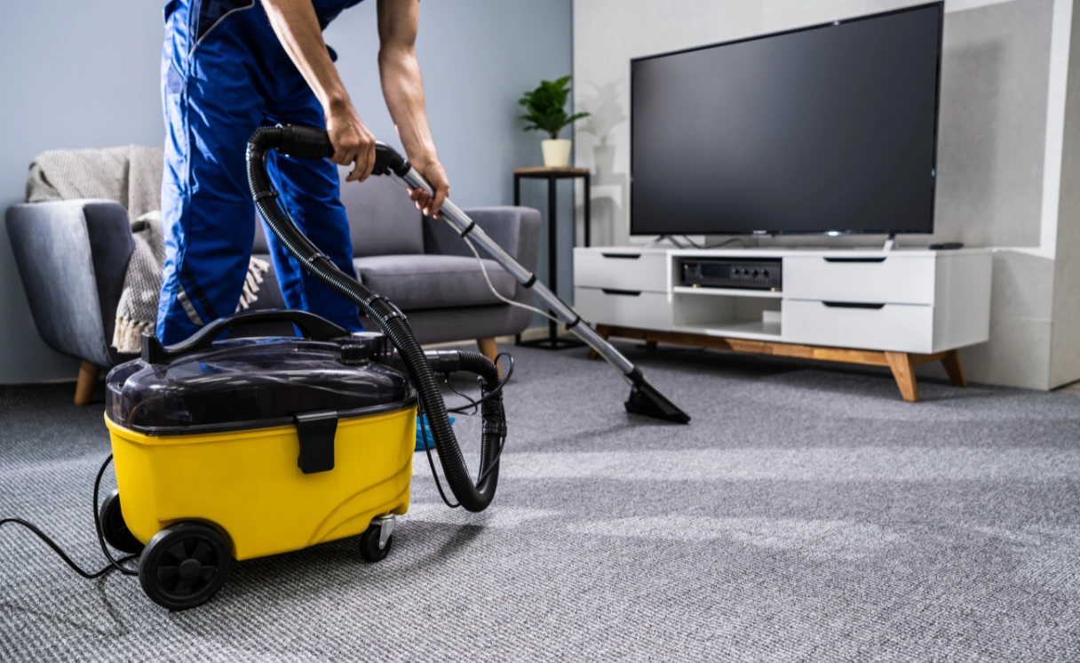 Extract Rug Cleaning Plenty Contact Office